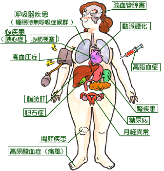 �얞�͖��a�̂���